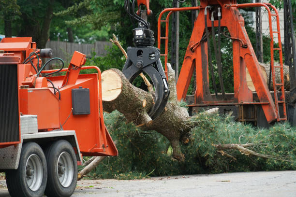 Seasonal Cleanup (Spring/Fall) in Independence, KS